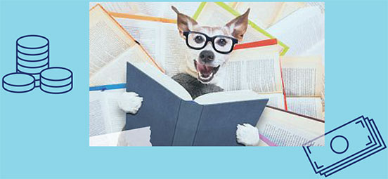 ein Hund und die Bücher